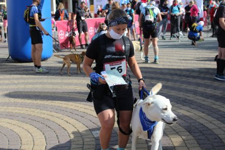 Fragment biegu Pucharu Polski w Dogtrekkingu w Wiśle